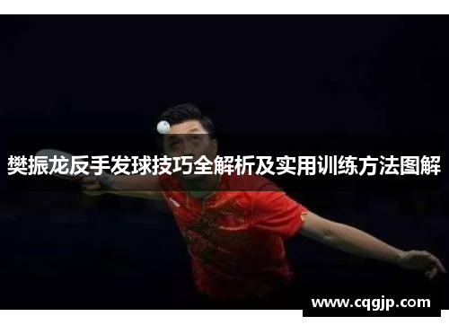樊振龙反手发球技巧全解析及实用训练方法图解